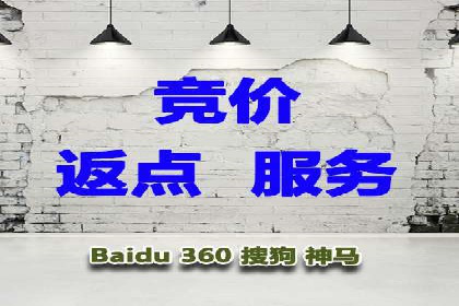 百度竞价账户托管的技巧与策略：从入门到精通的案例解析